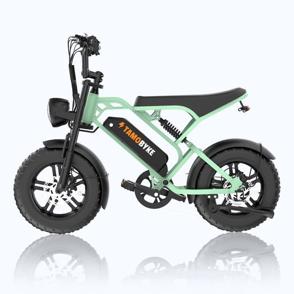 T16 Electric Dirt Bike for Adults&Teens, 1000W Peak Motor 48V/15.6Ah Removable Battery, 30MPH Off-Road Dirt Bike, 16" Fat Tire, 7-Speed,Dual Hydraulic Brakes, Green