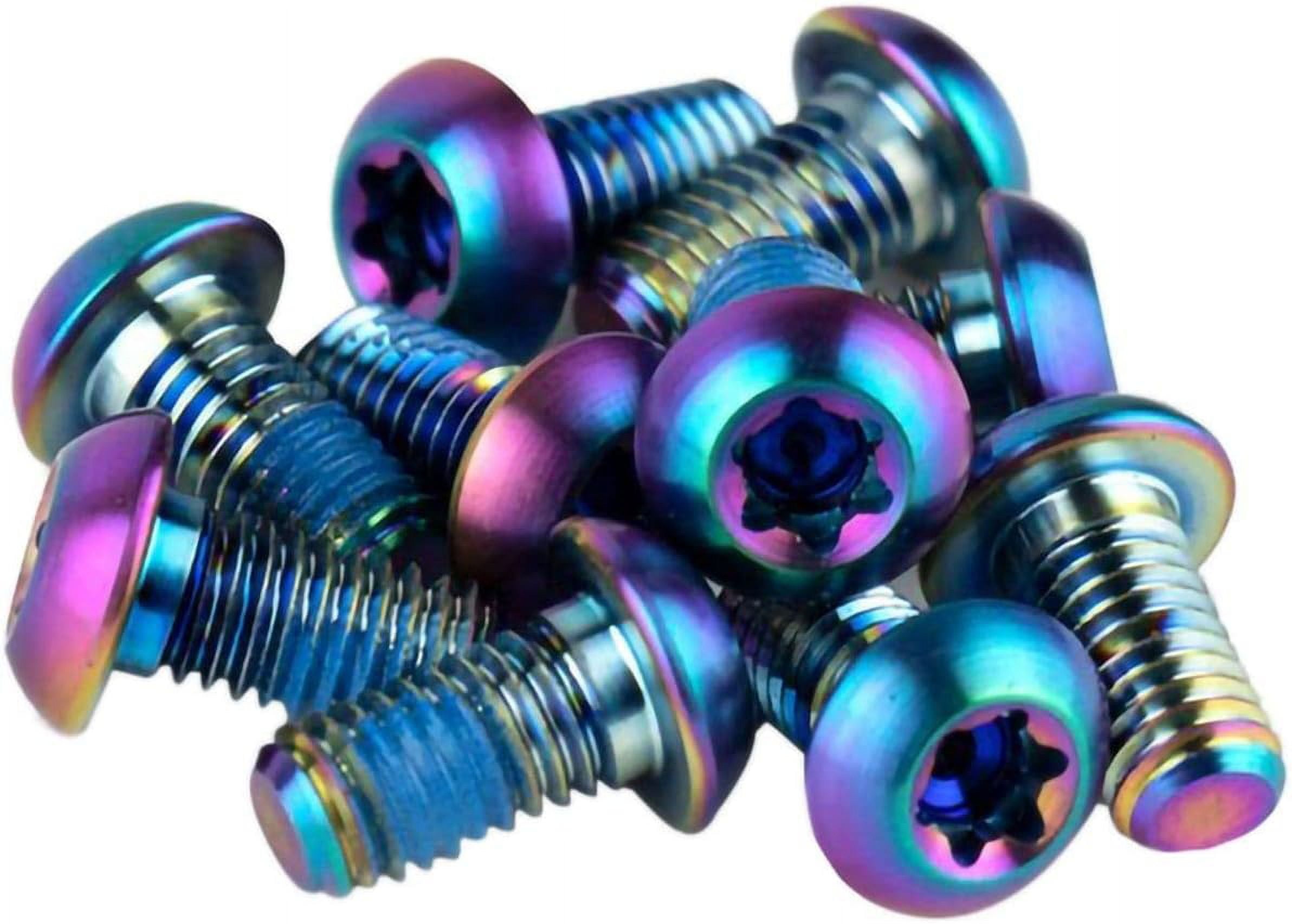 T25 Rotor Bolt Kit Rainbow, Set of 12
