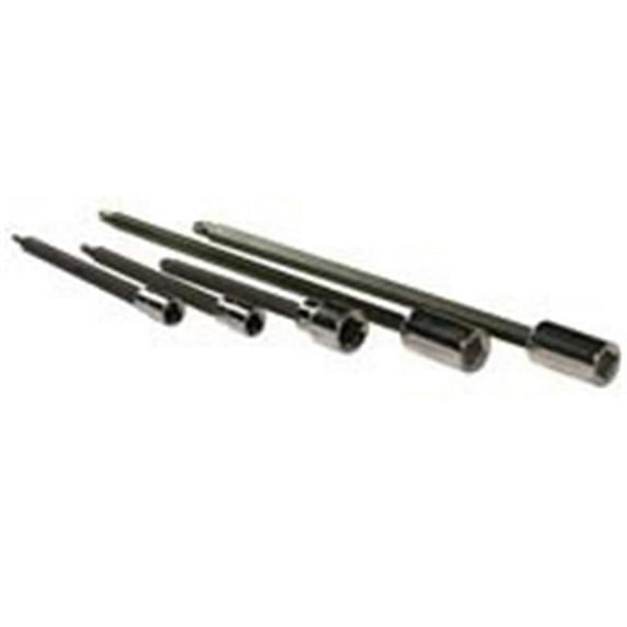T40 Torx Driver 4.5 in. Long .38 in. Square Drive Holder
