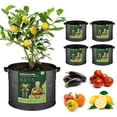 thumbnail image 1 of T4U Fabric Plant Grow Bags with Handles, Heavy Duty Nonwoven Smart Garden Pots, 10 Gallon, Black, Set of 5, 1 of 9