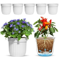 T4U Plastic Self Watering Planters, White Flower Pots, 6 inch, Set of 6