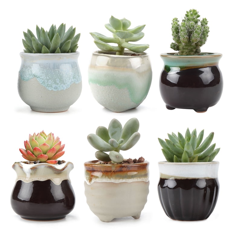 T4U Ceramic Succulent Pots, Pretty Drainage Planters for Small Cactus and  Houseplants, Mini Pots Set of 6, 2 inches - Walmart.com