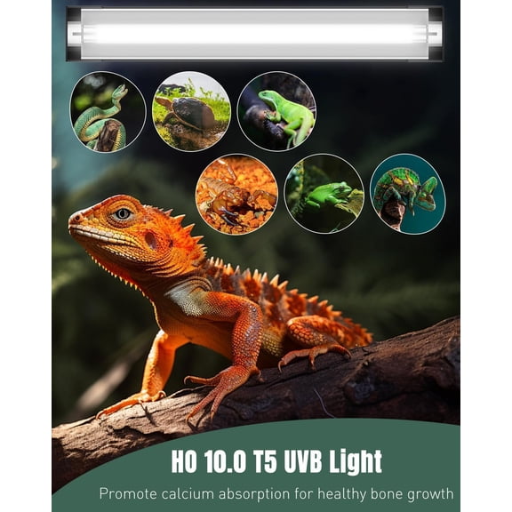 T5 Reptile Light Combo Kit with 2 UVB Tubes, 10.0 UVB Light Fixture with Terrarium Hood and 8W Light Tubes for Bearded Dragon, Desert & Tropical Terrariums