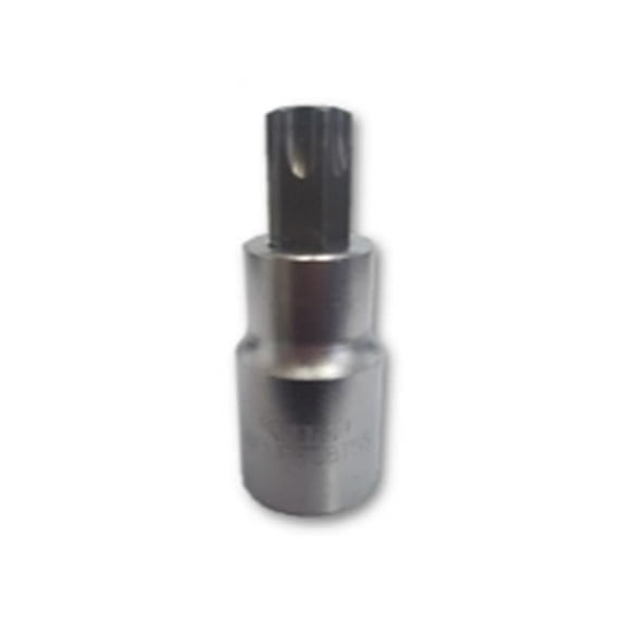 T55 Torx Bit - Satin Chrome 0.5 Square Drive Bit Holder