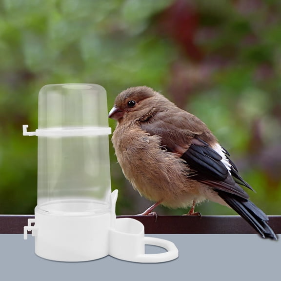 TABLETREANDS 2Set Plastic Bird Feeder Automatic Drinking Water Food Bowl for Chickens Pigeons Quail Pets 6.3X5.5X6.3in