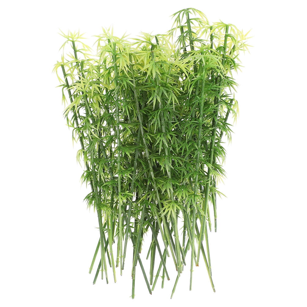 bambus faltregal Bambus schwarz - Phyllostachys nigra