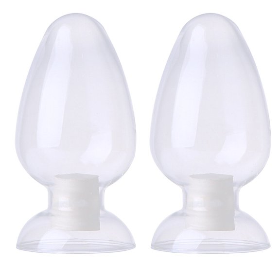 TABLETREANDS Glass Lab Bottles for Laboratory Use, 2 Pack, 4.72 x 2.75 x 2.75 Inches, Research Bottles