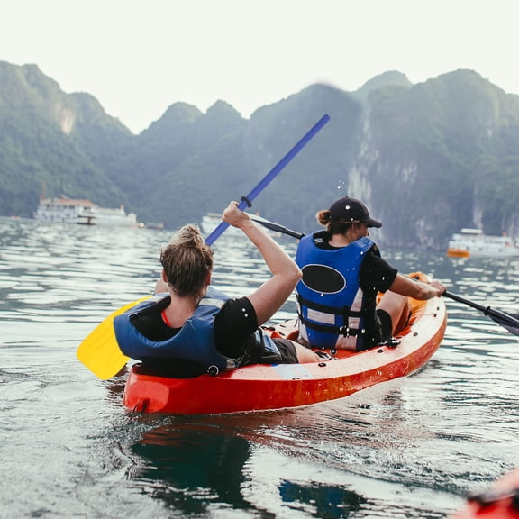 TABLZONE 1 Pair Oars for Row Boat Black ABS Foldable Portable Canoe Water Activities