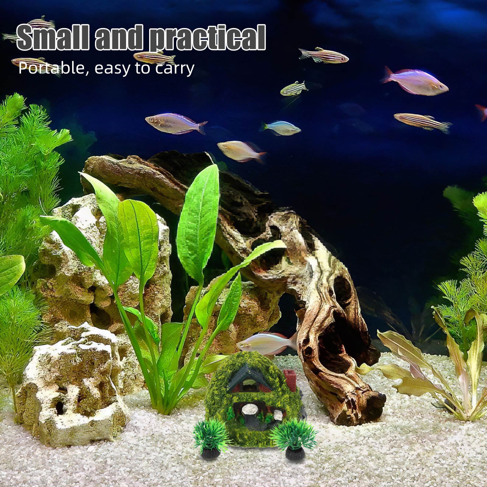 Picture of TABLZONE 1 Set Aquarium Hideout Shrimp Cave in Assorted Color Space ...