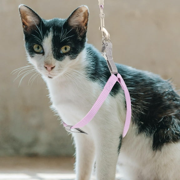 TABLZONE Outdoor Cat Set with Rustproof Buckles, Violet Polyester Adjustable Pet Safety for Cats