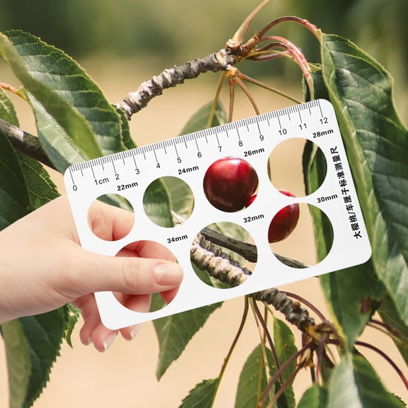 TABLZONE 12Pcs Cherry Diameter Measuring Ruler White PP Material Easy Use Fruit Measuring Supply