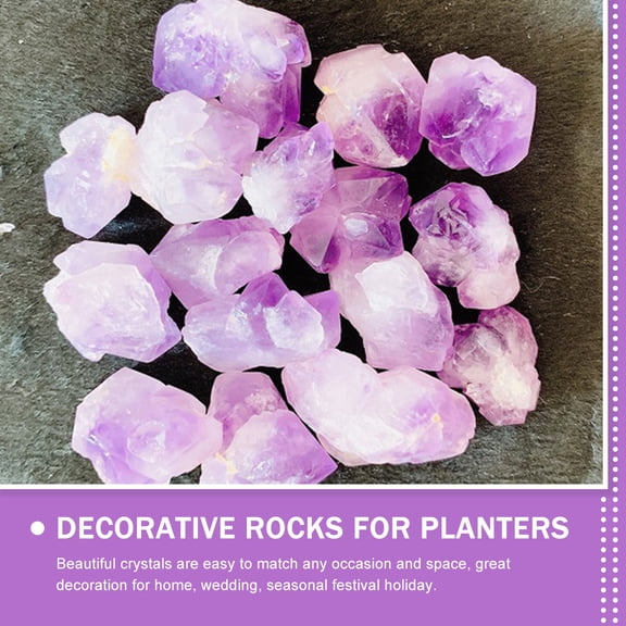 TABLZONE 1Pack Tumbled Amethyst Stones Decorative Rocks for Succulent and Water Garden Display
