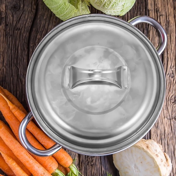 TABLZONE 1Pc Compact Stainless Steel Cooking Dome Lid for Home Kitchen with Heat Resistant Grip