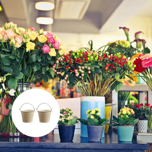 TABLZONE 2Pcs Rustic Iron Flower Pot Light Brown Metal Vase for Stylish Home Decor