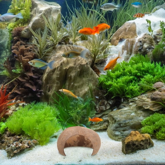 TABLZONE 2Pcs Coconut Shell Reptile Hides Aquarium Decor Light Brown Habitat Simulation