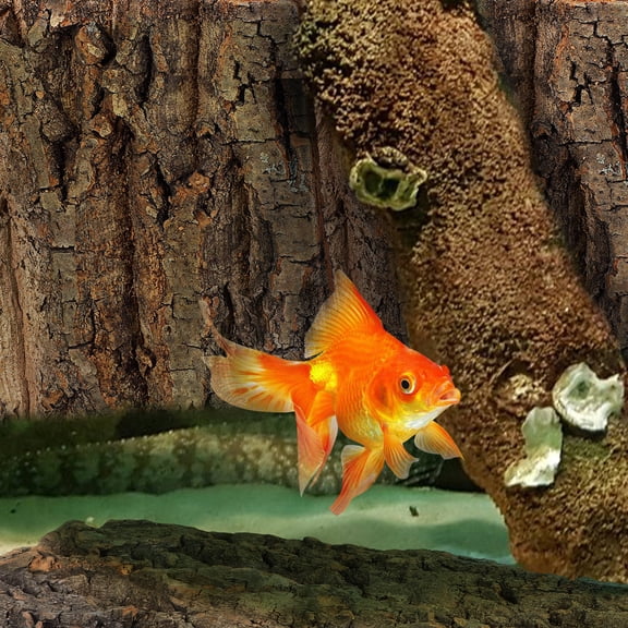 TABLZONE Lizard Decor For Tank Cork Bark Decor Brown 4 Pcs Reptile Enclosure Background