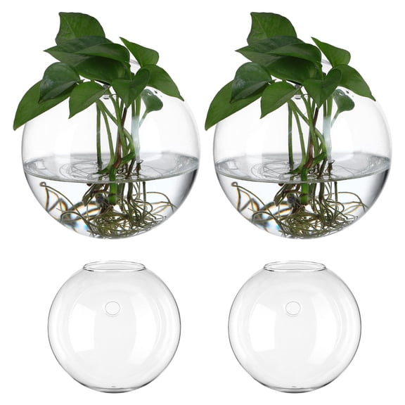 TABLZONE 4Pcs Wall Mounted Glass Propagation Stations for Indoor Plant Holders