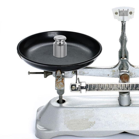 TABLZONE 80 Gram Precision Calibration Weight for Lab and Industrial Balance Scale Adjustment