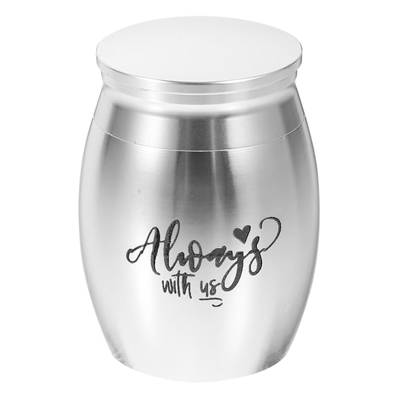 TABLZONE Pet Urn Stainless Steel Plated Silver Keepsake for Dog Ashes Storage