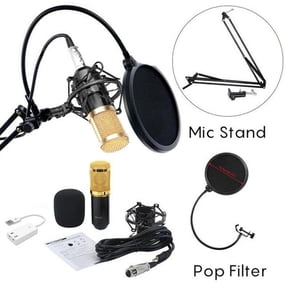 TABLZONE -800 Microphone Kit with Shock Mount, Wind Filter for Professional Recording and Podcasting