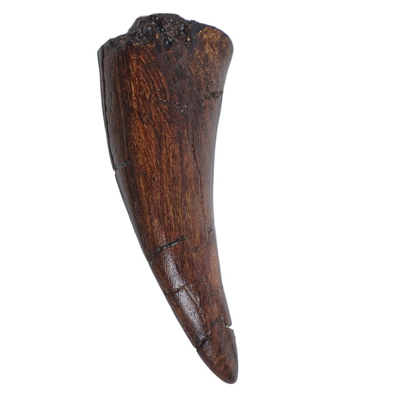 TABLZONE Brown Resin Shark Tooth Sculpture for Coastal Beach Decor and Shark Lover Collection