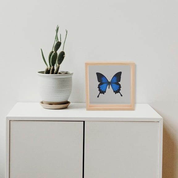 TABLZONE Butterfly Specimen Picture Frame with Khaki Wood for Desktop Photo Display