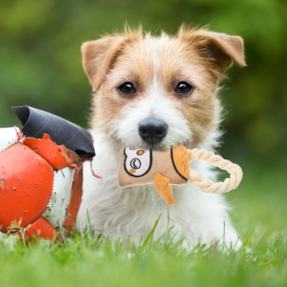 TABLZONE Dog Chew Toys Flannel Owl Squeaky Sound Teeth Cleaning 1Pack