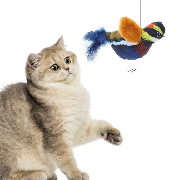 TABLZONE Hanging Cat Toy with Bird Shape, Fun Teaser for Indoor Play and Bonding