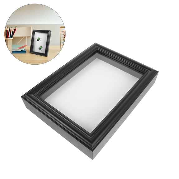 TABLZONE Insect Specimen Display Case with Clear Glass and Black Wood Frame for Storage and Display