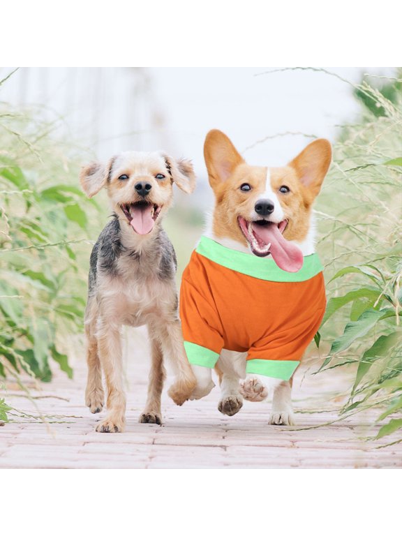 Pet Vest Dog Coat Orange Pumpkin Design Perfect for Jogging and Travel