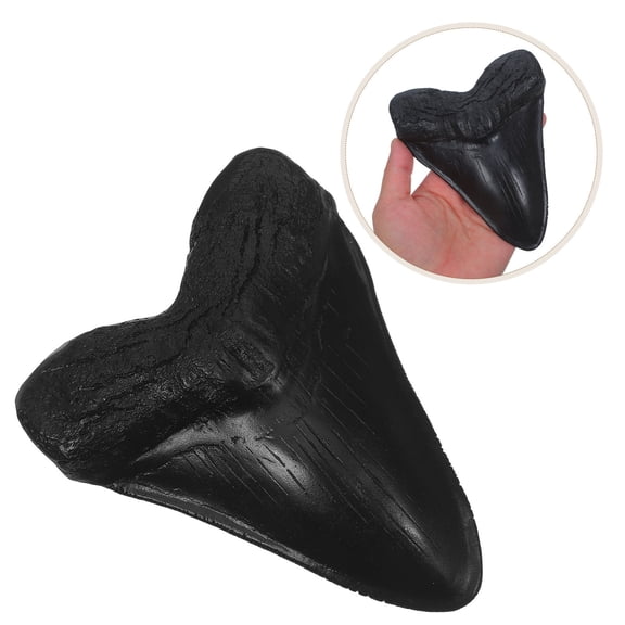 TABLZONE Portable Resin Shark Tooth Ornament with Ergonomic Design for Home Decor and Themed Display