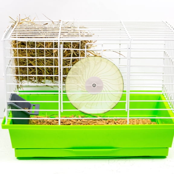TABLZONE Hamster Supplies Plastic Hamster Running Jogging Wheel Light Green 1Pack