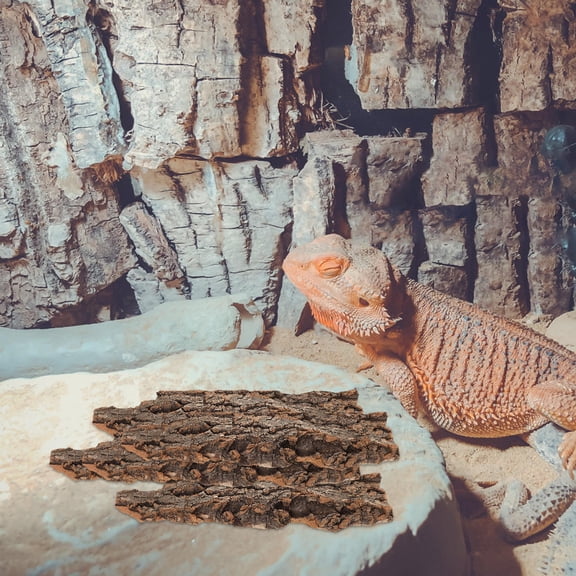 TABLZONE Natural Cork Bark Reptile Climbing Surface for Terrarium Decoration 1Set