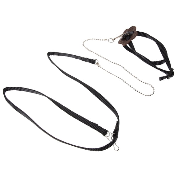 TABLZONE Black Reptile Leash for Turtle Pet Training with Finger Loop and Pull Ring
