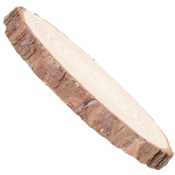 TABLZONE Unfinished Wood Circles for Crafts Smooth Natural Wood Round Cutouts