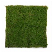 TABLZONE Fake Moss Mat Green Plastic Flocking Lifelike Turf for Decoration