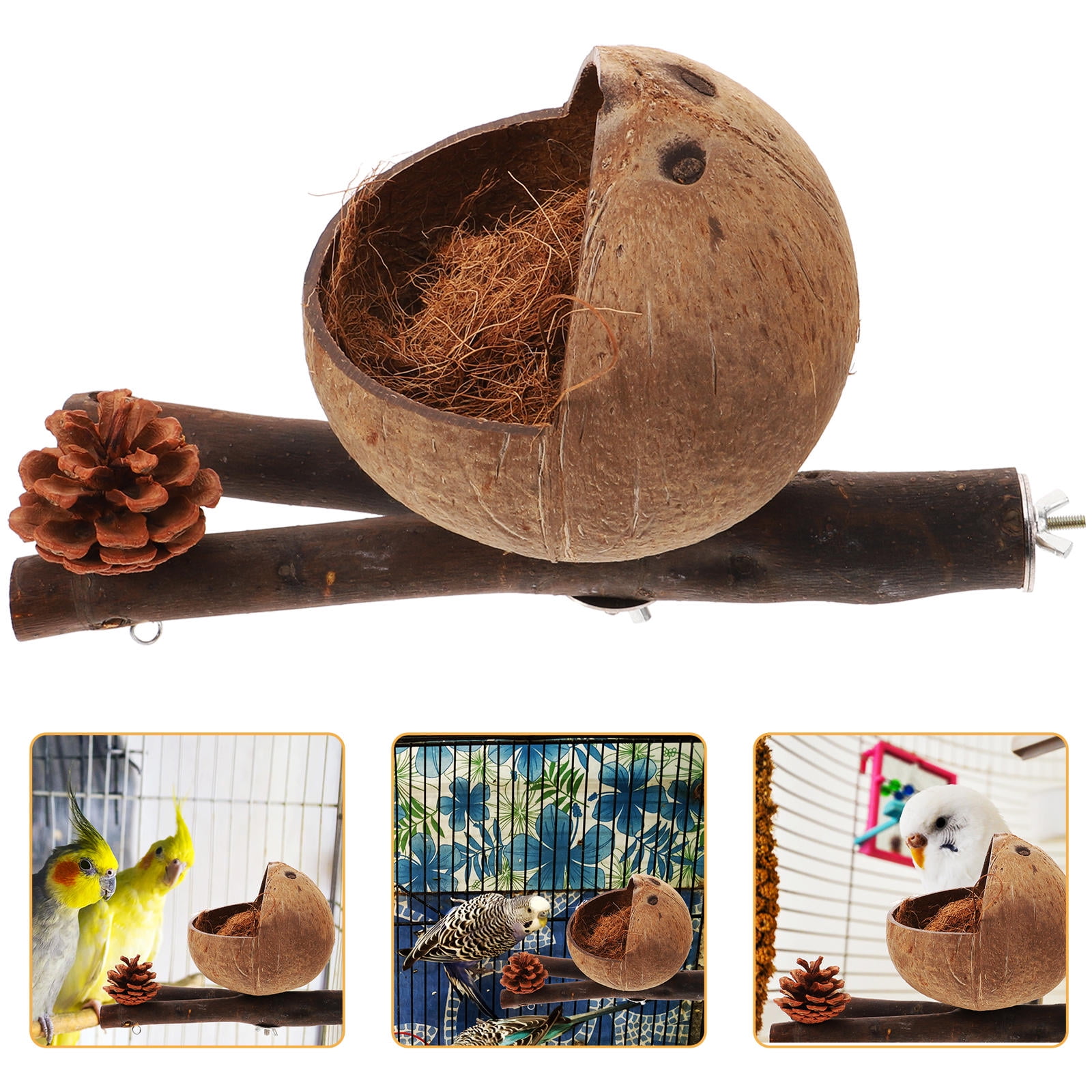 Picture of TABLZONE Parrot Perch Stand Light Brown Coconut Shell Wood Bird Cage ...