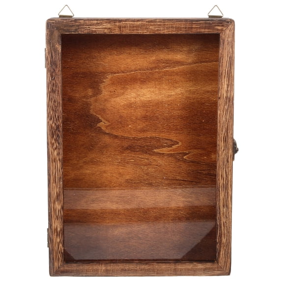 TABLZONE Brown Acrylic Wood Specimen Display Box with Clear Lid for Collectibles