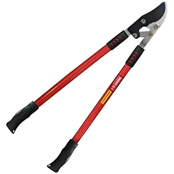 TABOR TOOLS GG11A Bypass Lopper with Compound Action, 30 Inch Tree Trimmer, Branch Cutter with ? Inch Cutting Capacity, Delivers Clean Cuts with Ease.
