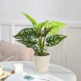 thumbnail image 1 of TACILIP Artificial Potted Plants Realistic Simulation Of Green Plants Realistic Indoor Potted Plants Can Be Used for Home Desk and Bookshelf Decoration Home Decor, Gifts for Him, 1 of 6
