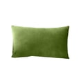 thumbnail image 1 of TACILIP Office Supplies, Rectangle Velvet Throw Pillow Cover Colour Waist Pillow Cushion Green, Gifts for Mom, 1 of 6