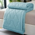 thumbnail image 1 of TACILIP Summer Air Conditioning Quilt Cool Feeling Ice Silk Summer Quilt Thin Ice Cream Quilt Machine Washable Washable 39.4x59.1in Blankets for Women, Gifts for Her, 1 of 5