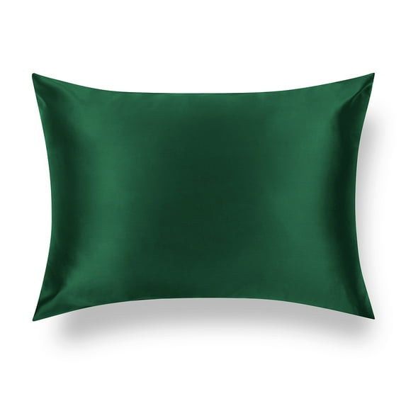 TAFTS Silk Pillowcase 22 Momme 100% Pure Mulberry Silk Pillowcase for Hair and Skin, Both Sides Grade 6A Long Fiber Natural Silk Pillow Case, Concealed Zipper, King, Emerald