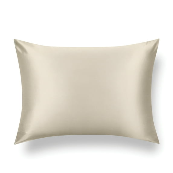 TAFTS Silk Pillowcase 22 Momme 100% Pure Mulberry Silk Pillowcase for Hair and Skin, Both Sides Grade 6A Long Fiber Natural Silk Pillow Case, Concealed Zipper, King, Nude