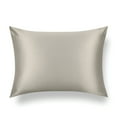 thumbnail image 1 of TAFTS Silk Pillowcase 22 Momme 100% Pure Mulberry Silk Pillowcase for Hair and Skin, Both Sides Grade 6A Long Fiber Natural Silk Pillow Case, Concealed Zipper, Queen, Taupe, 1 of 3