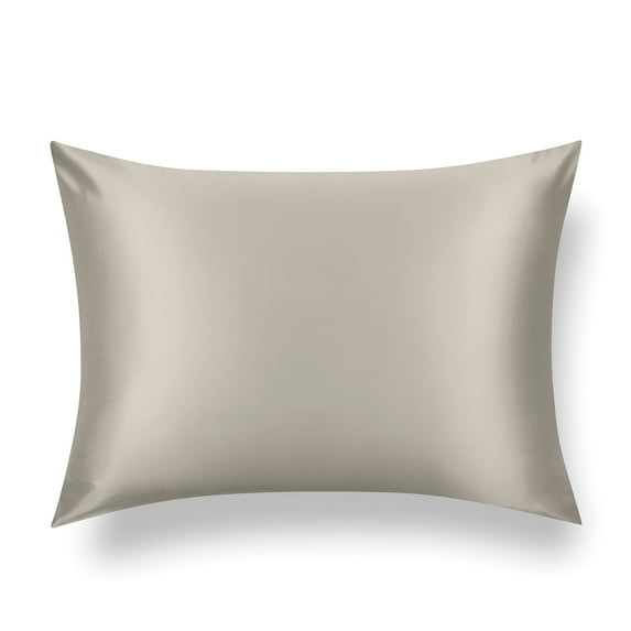 TAFTS Silk Pillowcase 22 Momme 100% Pure Mulberry Silk Pillowcase for Hair and Skin, Both Sides Grade 6A Long Fiber Natural Silk Pillow Case, Concealed Zipper, Queen, Taupe