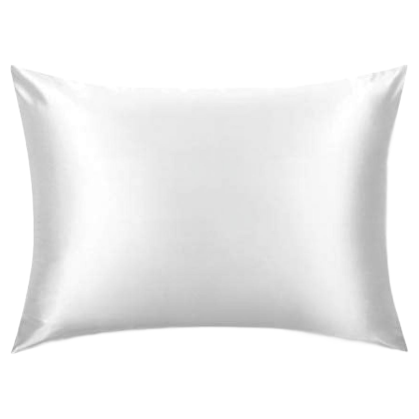 TAFTS Silk Pillowcase 22 Momme 100% Pure Mulberry Silk Pillowcase for Hair and Skin, Both Sides Grade 6A Long Fiber Natural Silk Pillow Case, Concealed Zipper, Queen, Cool White
