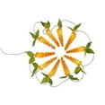thumbnail image 1 of TAG Carrot String Lights - Orange (G11706), 1 of 1