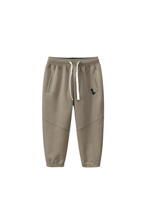 Dinosaur Print Boys Athletic Pants Kids Sporty Long Trousers For Toddlers Classic Baby Child Daliywear 5-6 Years