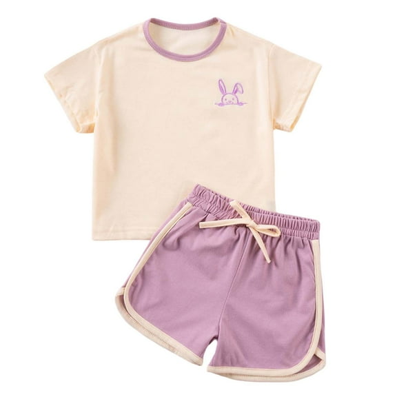 TAIAOJING Girls Outfits Sets Toddler Summer Casual Short Sleeve Shorts Outfits Sets With Cute Cartoon Embroidery For 1-6 Years Old Kids Comfortable Daily Wear Cozy 2-3Y